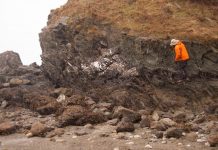 Life might thrive a dozen miles beneath Earth’s surface