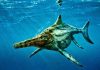 New Jurassic species of marine reptile identified from fossils in Scotland