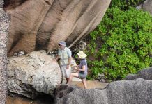 On a tropical island, fossils reveal the past and possible future of polar ice