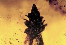 Amber fossil links earliest grasses, dinosaurs and fungus used to produce LSD