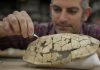 Climate-change clues from turtles of tropical Wyoming