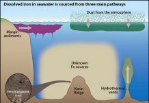 Deep ocean a source of dissolved iron in Central Pacific
