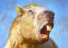 Giant rodent used incisors like tusks