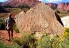 How were fossil tracks made by Early Triassic swimming reptiles so well preserved?