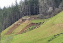 Map outlines western Oregon landslide risks from a subduction zone earthquake