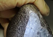 Meteorite may represent ‘bulk background’ of Mars’ battered crust