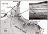 Out of Africa: Did humans migrate quickly and all-at-once or in phases based on weather?