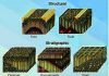 Petroleum Traps