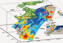 Randomness of megathrust earthquakes implied by rapid stress recovery after the Japan earthquake