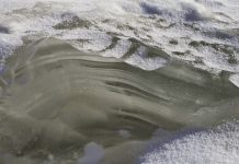 Rare Antarctic sub-glacial eruption