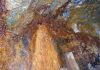 Rust preserves fossils from early Earth
