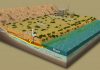 Scientists search for new ways to deal with U. S. uranium ore processing legacy