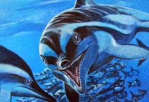 Secret of extinct British marine reptile uncovered