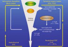 Solving carbon mysteries of the deep ocean