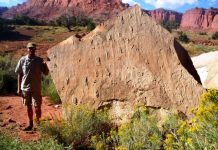Swimming reptiles make their mark in the Early Triassic