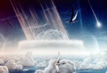 What was the impact that killed the dinosaurs?