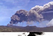 Role of gravitational instabilities in volcanic ash deposition