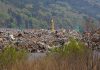 Deadly Japan quake and tsunami spurred global warming, ozone loss