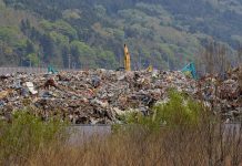 Deadly Japan quake and tsunami spurred global warming, ozone loss