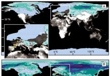 Did a volcanic cataclysm 40,000 years ago trigger the final demise of the Neanderthals?