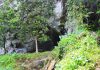 Humans adapted to living in rainforests much sooner than thought