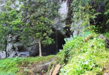 Humans adapted to living in rainforests much sooner than thought