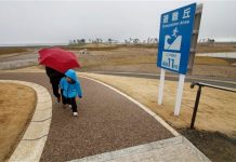 Japan opts for massive, costly sea wall to fend off tsunamis