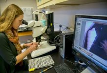 Massive study is first to explore historical ocean response to abrupt climate change