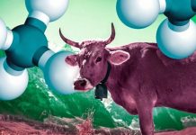 New detector sniffs out origins of methane