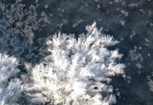 Same forces as today caused climate changes 1.4 billion years ago