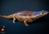 Super-salamander: Earth’s top predators more than 200 million years ago