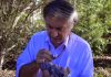 World’s largest asteroid impacts found in central Australia
