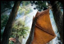 A new dinosaur: Flying without feathers