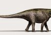 Brontosaurus is back!