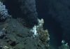 Chemistry of seabed’s hot vents could explain emergence of life