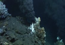 Chemistry of seabed’s hot vents could explain emergence of life
