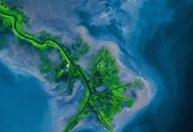 Engineering a better future for the Mississippi Delta