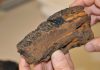 Ferromanganese crusts record past climates