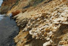 Fossils inform marine conservation