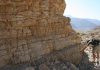 Greatest mass extinction driven by acidic oceans, study finds