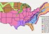 Map shows content and origins of the geologic basement