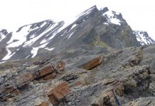 New evidence adds the Capitanian extinction to the list of major extinction crises