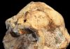 New instrument dates old skeleton; ‘Little Foot’ 3.67 million years old