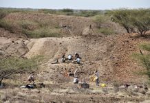 Oldest stone tools raise questions about their creators