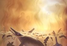 Oxygen-depleted toxic oceans had key role in mass extinction over 200 million years ago