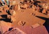 Rare tidal movements expose Kimberley dinosaur tracks