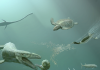 How Repeated Marine Predator Evolution Tracks Changes in Ancient and Anthropocene Oceans