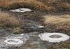 Researchers analyze the microbial community in volcanically active soils