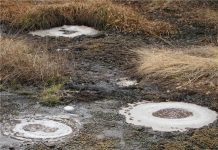 Researchers analyze the microbial community in volcanically active soils