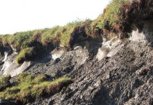Researchers clarify impact of permafrost thaw